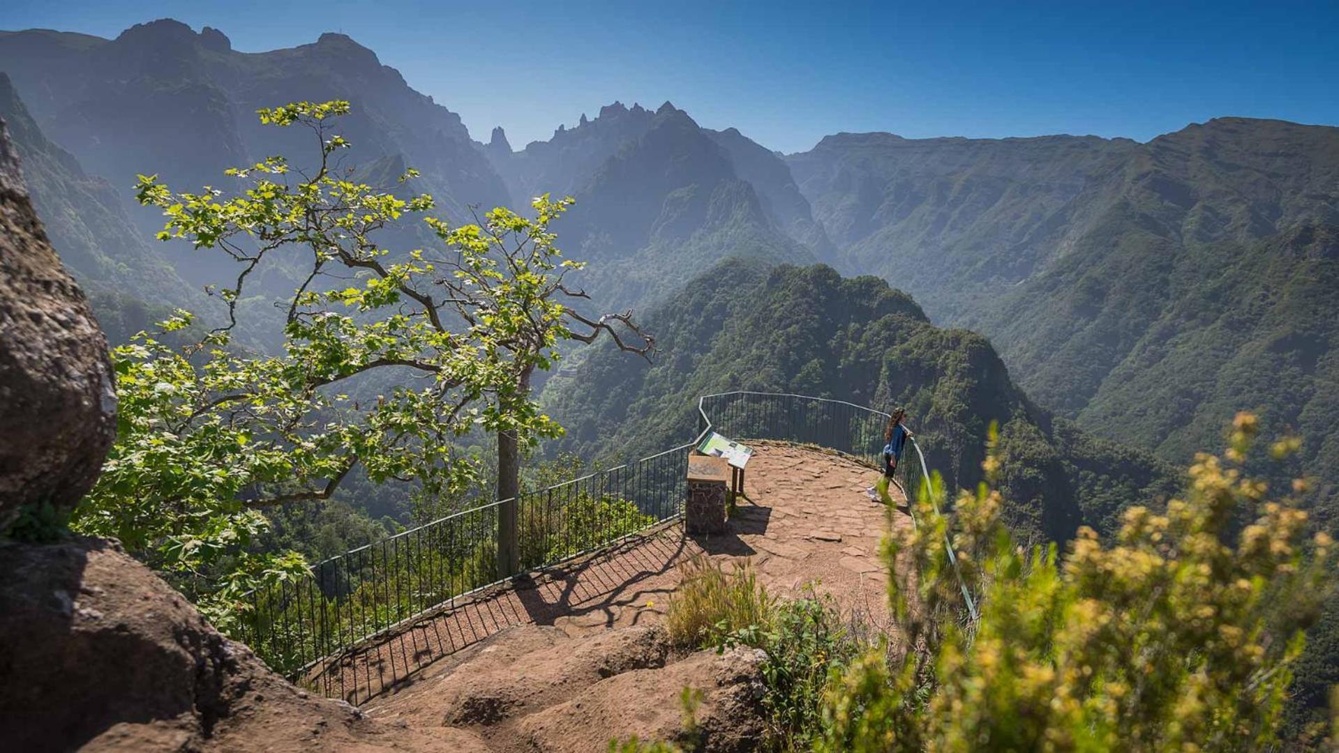 Villa Correia - Ribeiro Frio São Roque do Faial 외부 사진